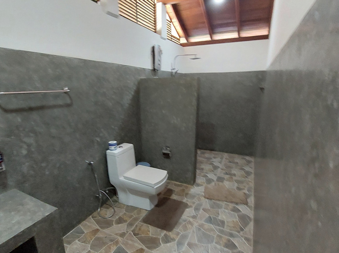 Jungle Paradise主图