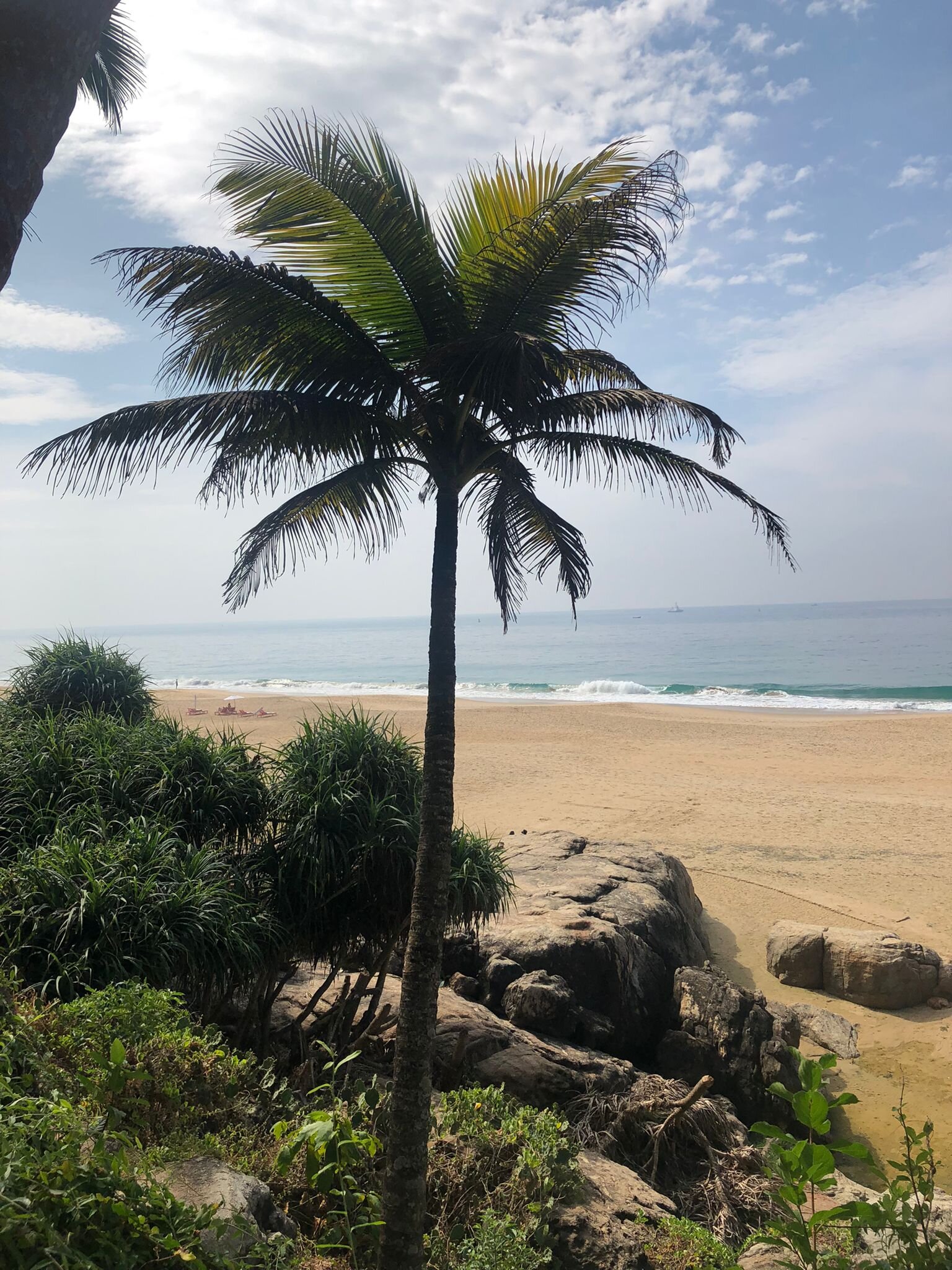Soma Manaltheeram Ayurveda Beach Village-泳池