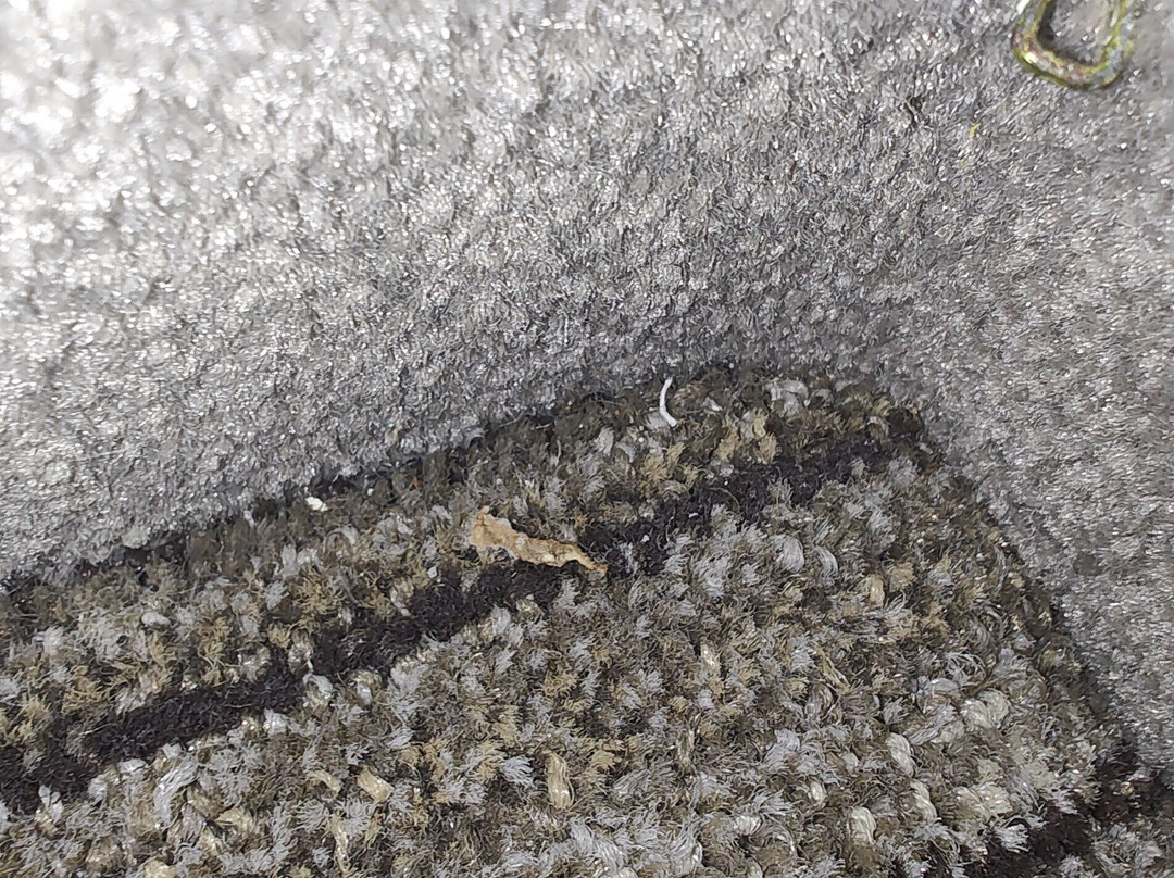 Holiday Inn Express & Suites Lenoir City (knoxville Area) By IHG主图