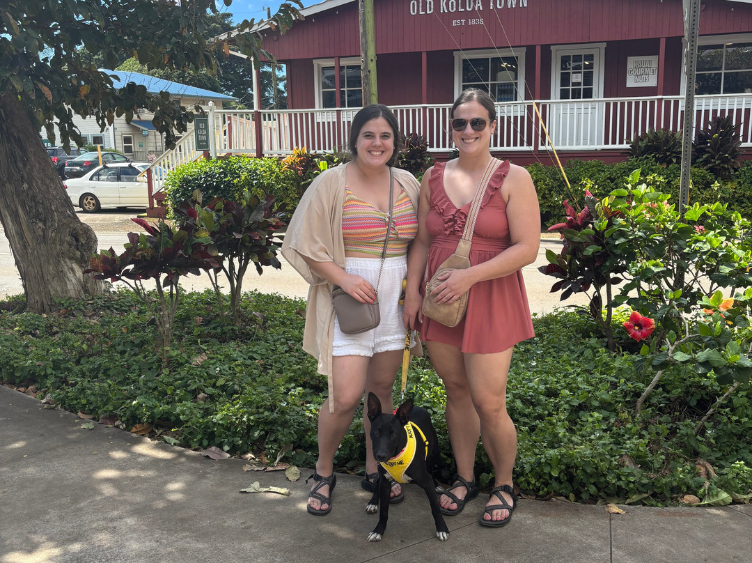 Kauai Humane Society-利胡埃必去景点