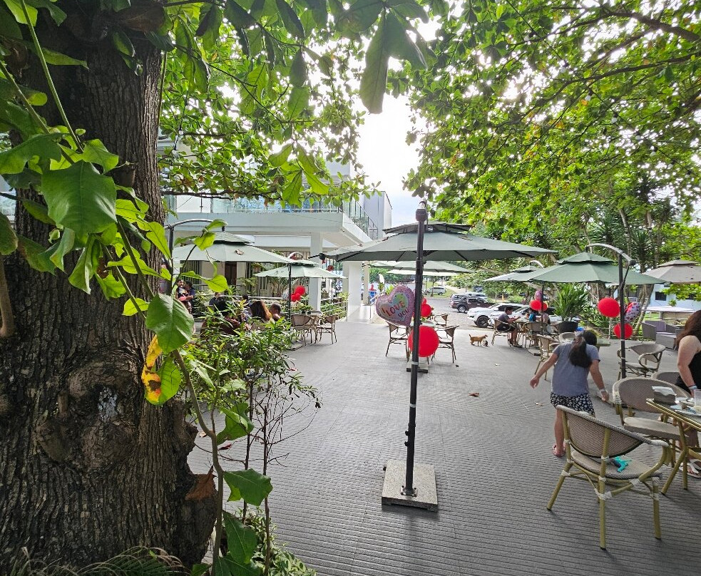 Don Arc White Beach Resort景点图片