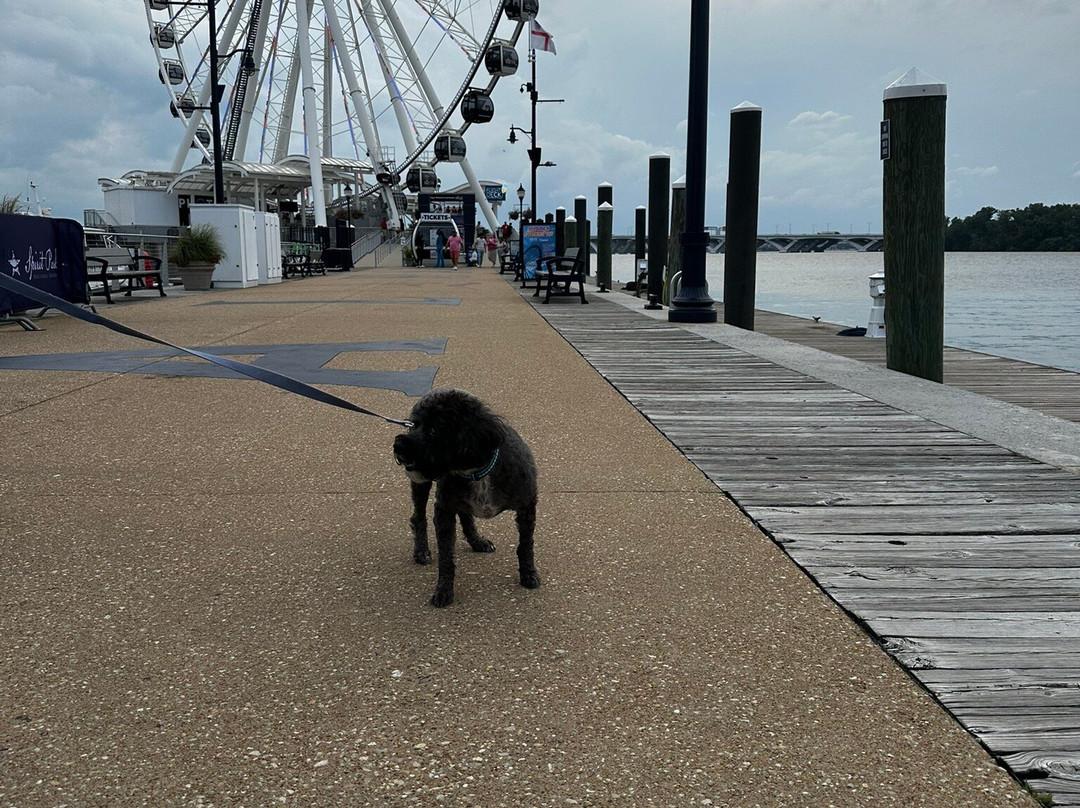 National Harbor-国家港口必去景点