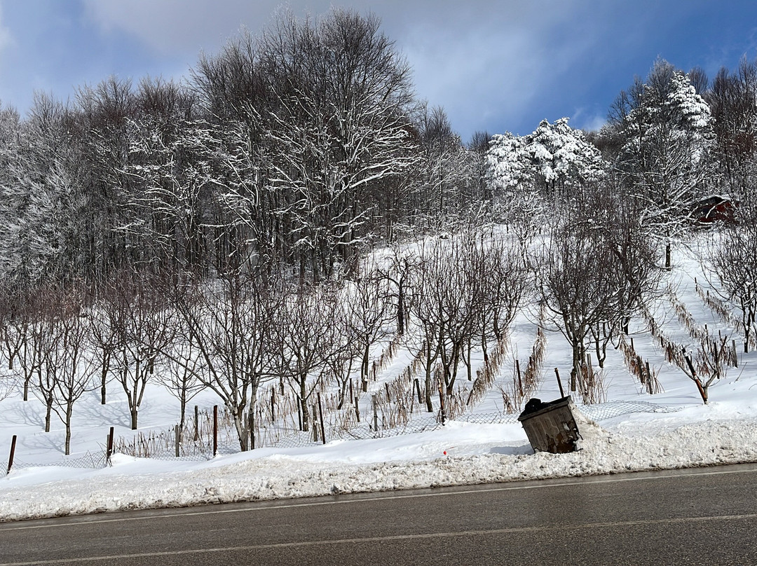 Uludağ-Bursa Province必去景点
