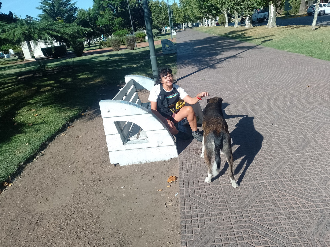 Plaza Simón Bolívar