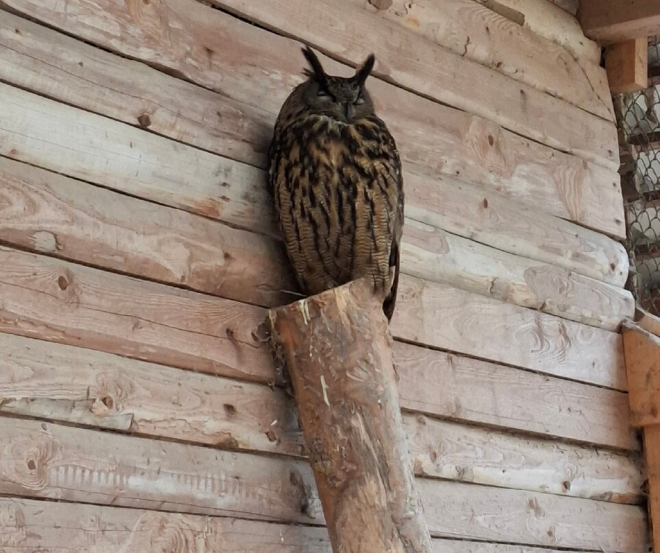 Wildpark Naturzentrum Knull-Homberg必去景点