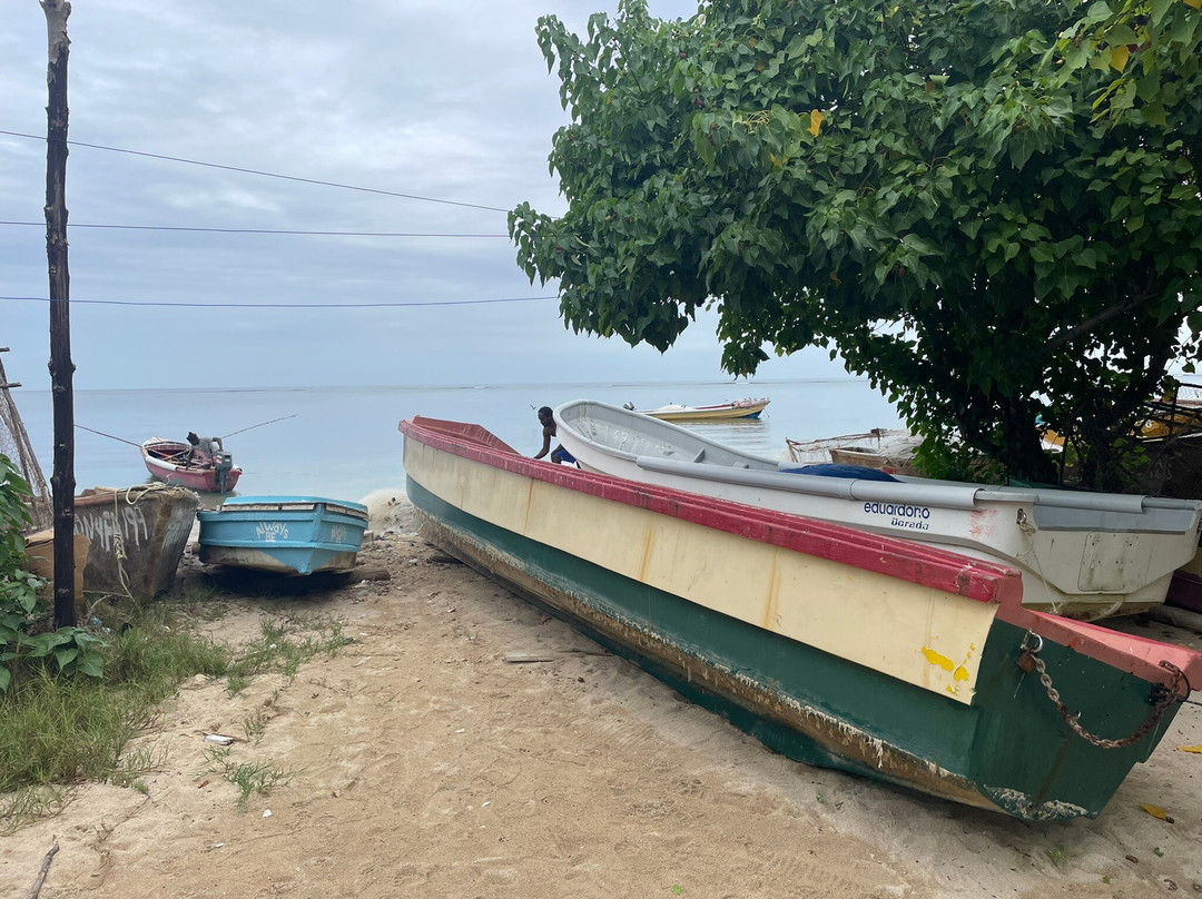 Historic Falmouth Cruise Port-法尔茅斯必去景点