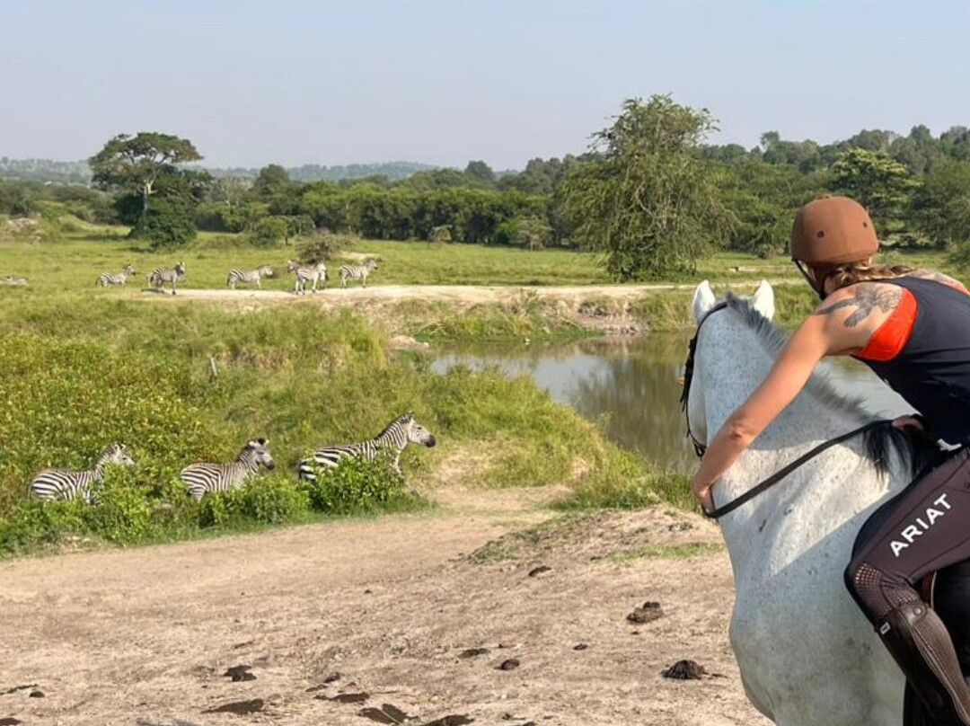 Lalu African Tours-恩德培必去景点