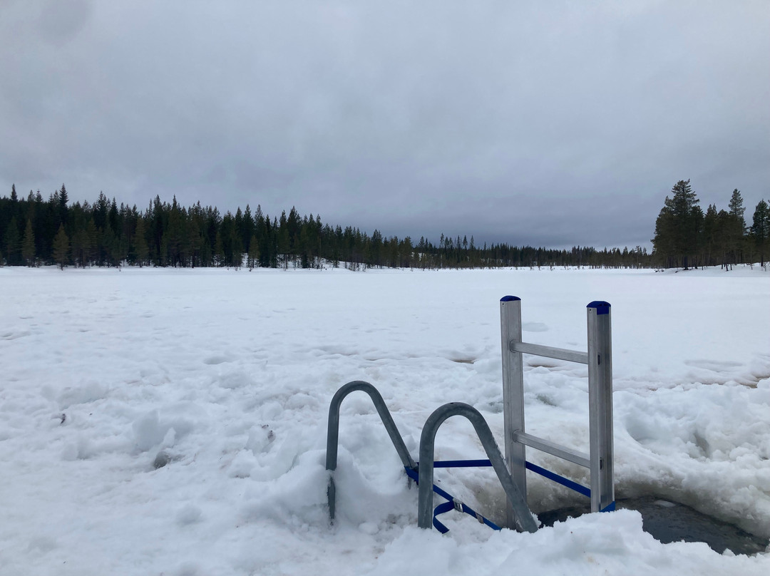 Openlappland-Amsele必去景点