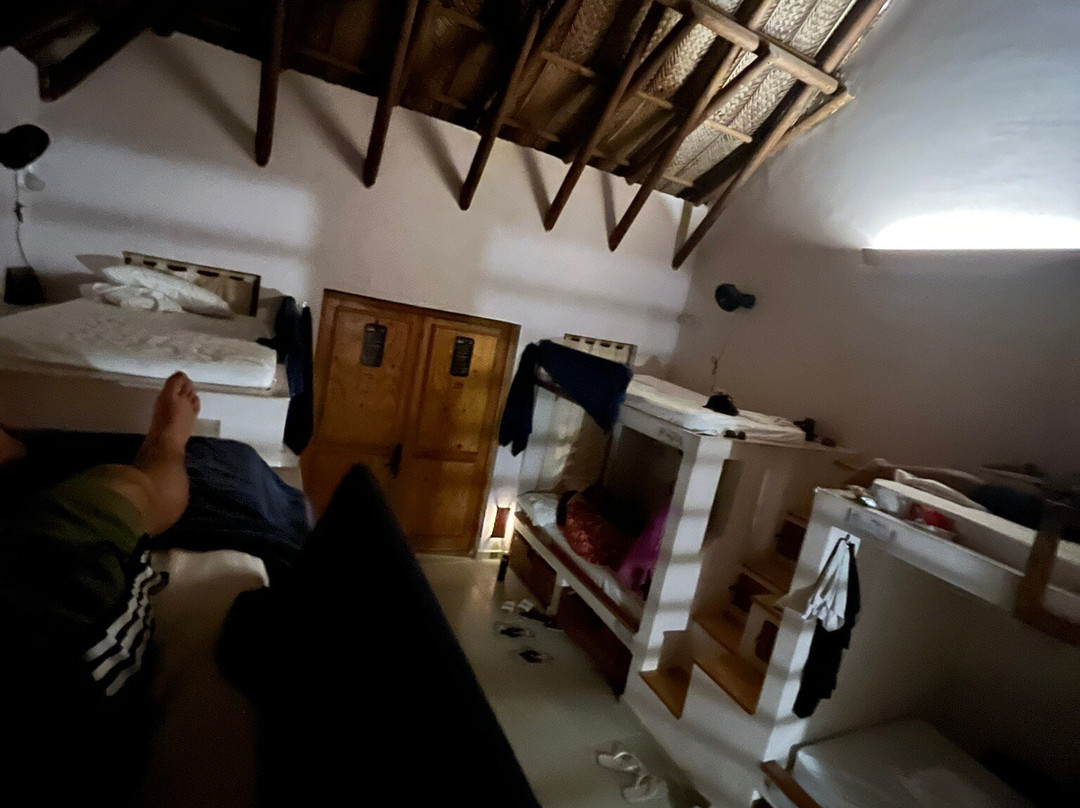 Viajero Hostel Tayrona & Ecohabs主图