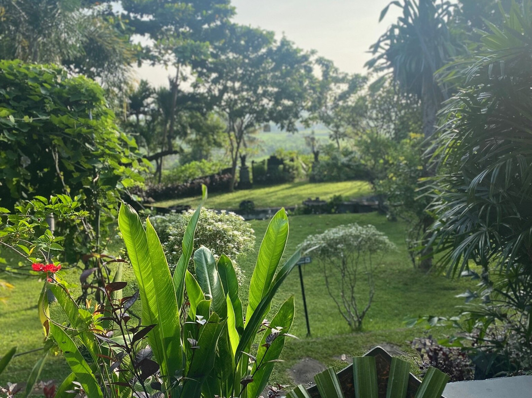 巴厘禅度假村主图