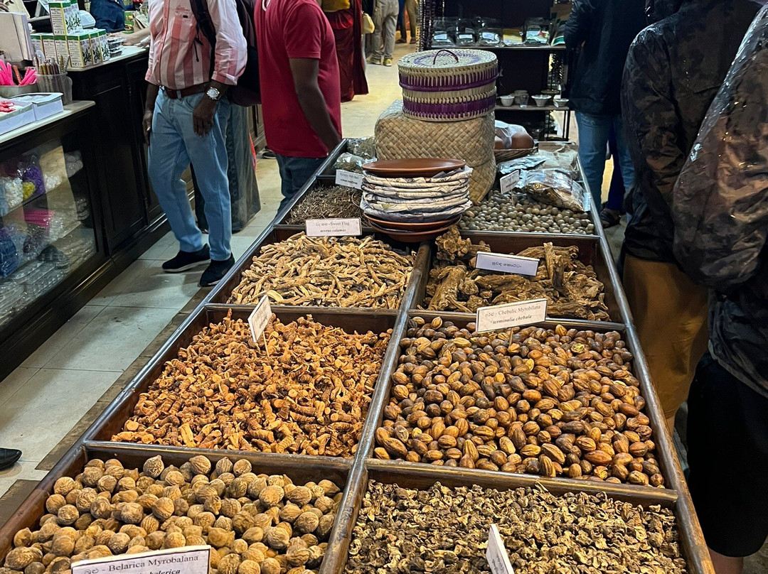 Ayaan Tours Sri Lanka-Katukurunda必去景点