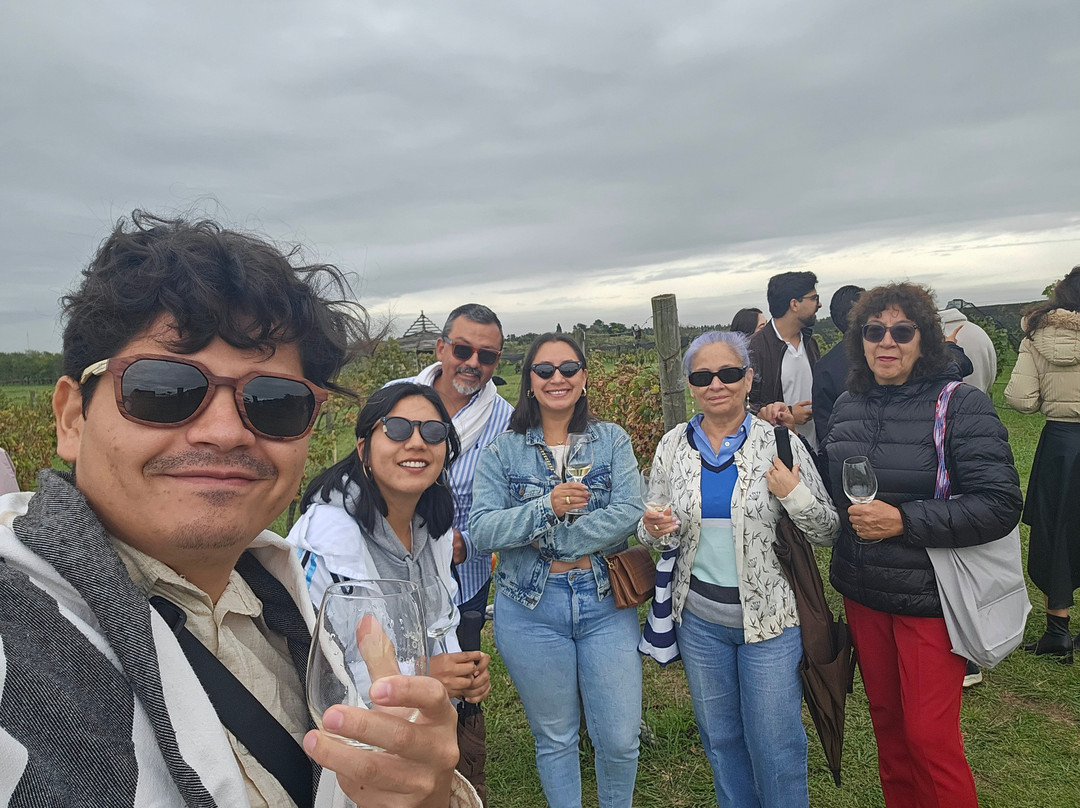 Gamboa - Viñas & Bodega景点图片
