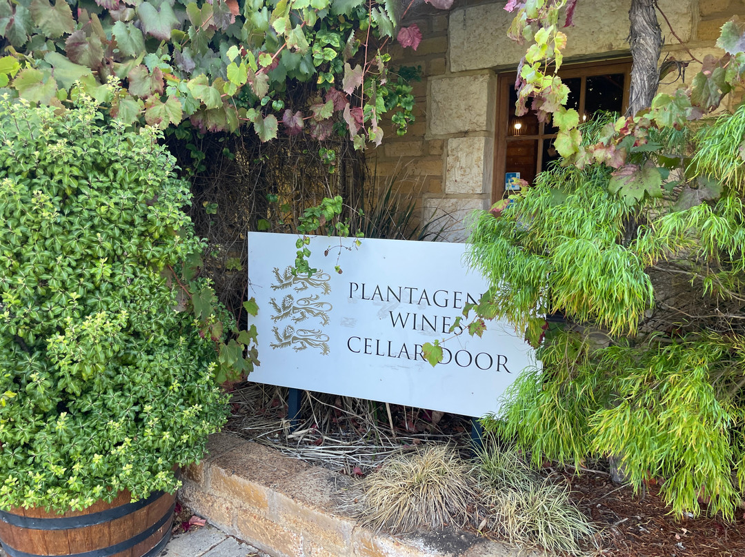 Plantagenet Wines-Mount Barker必去景点