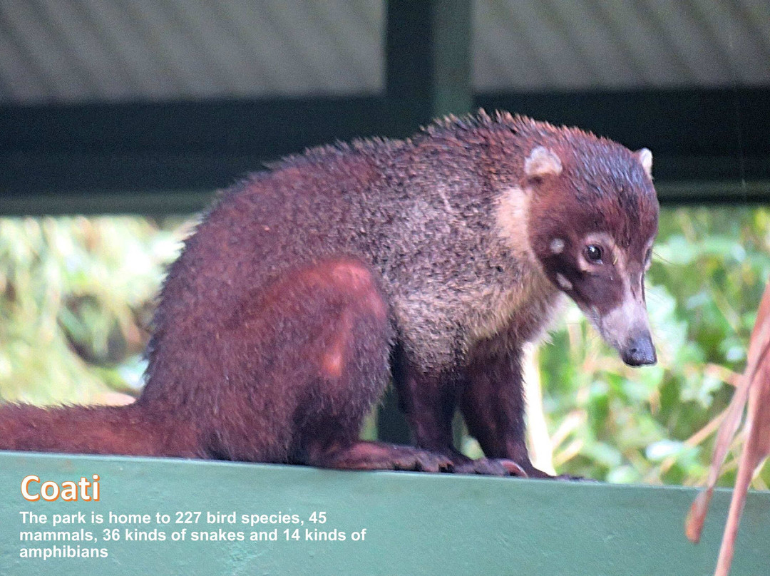 CAB Tours & Transfers-巴拿马城必去景点