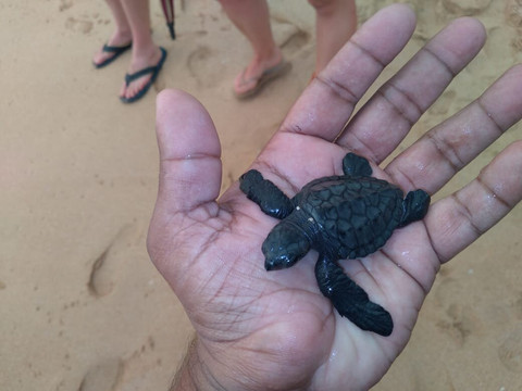 Sithu Tours and Taxi Service-马塔拉必去景点