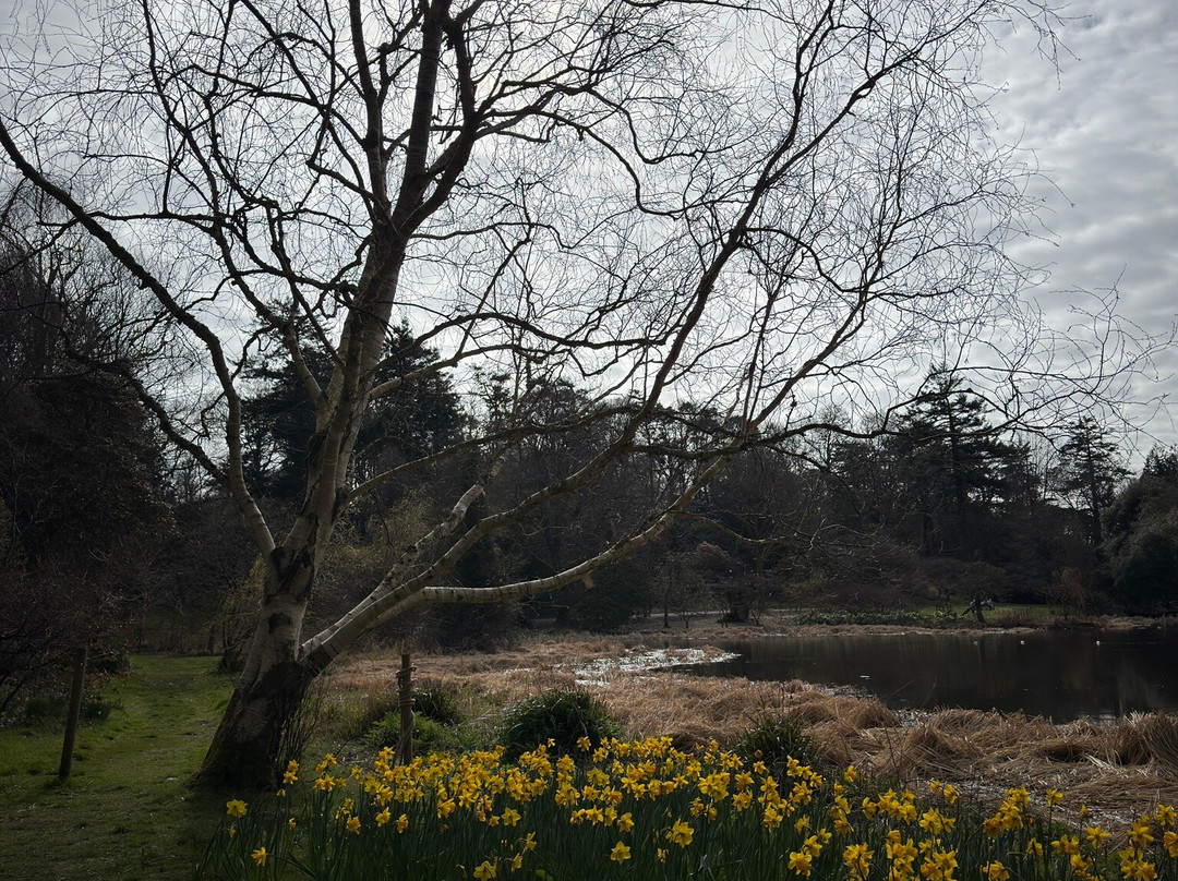 Ards Peninsula景点图片