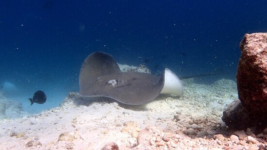 马尔代夫巴洛斯度假村主图