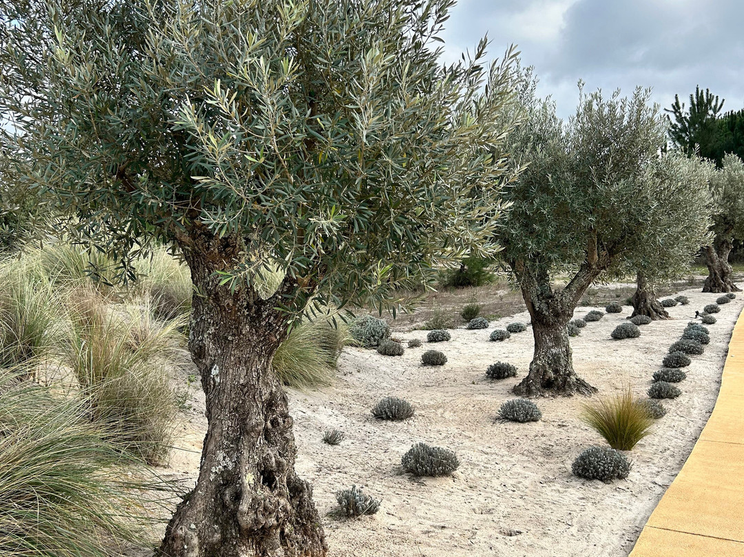 Spatia Comporta主图