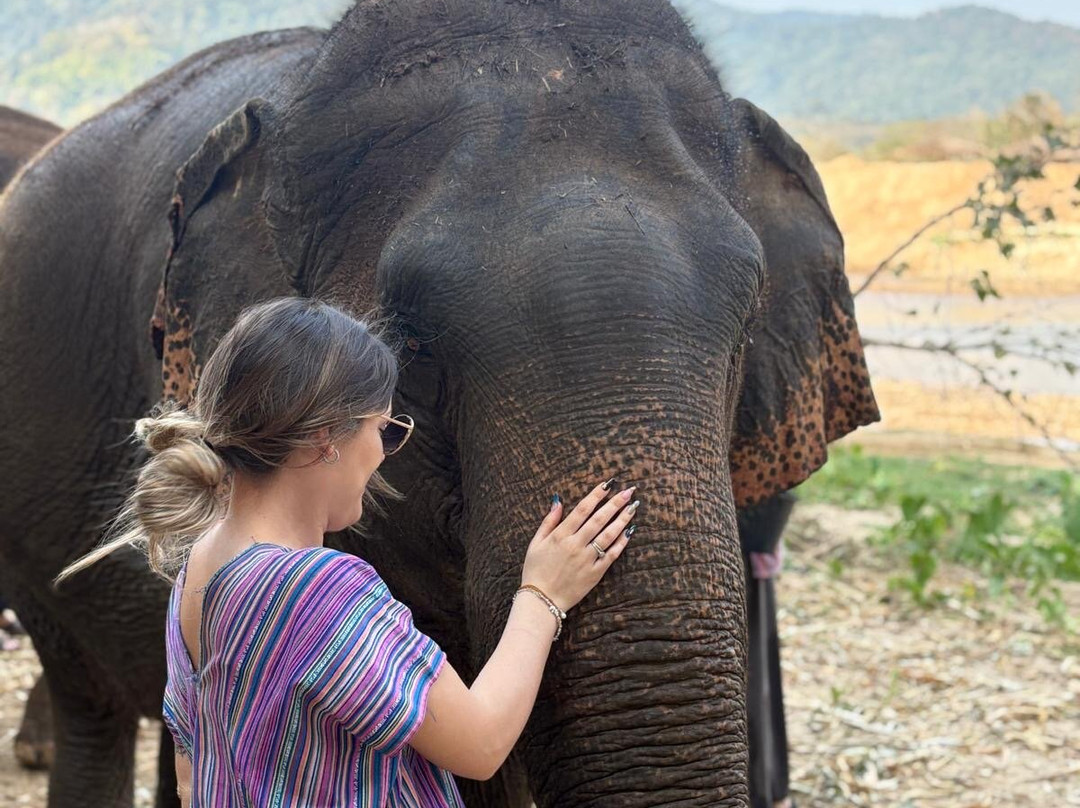 Happy Elephant Home-夜登必去景点