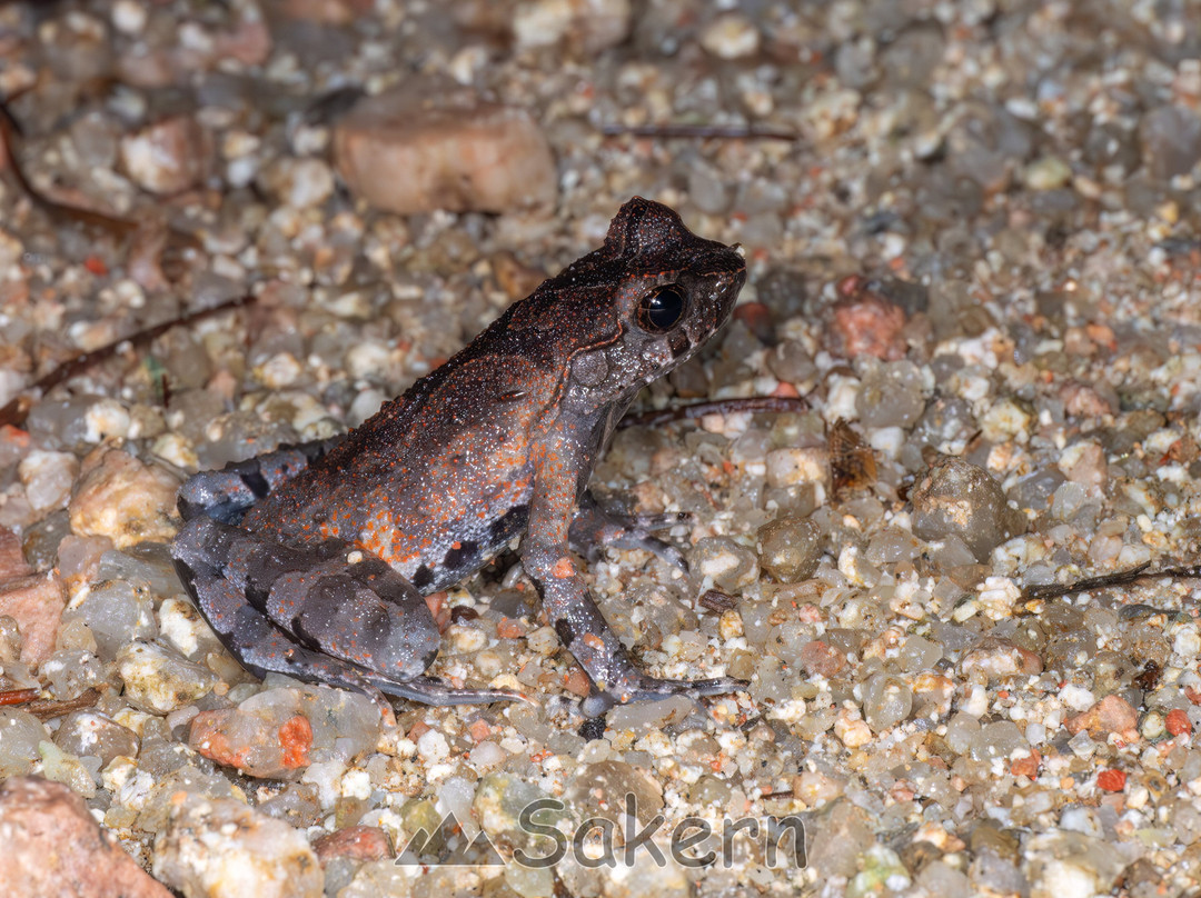 大老岭-宜昌市必去景点