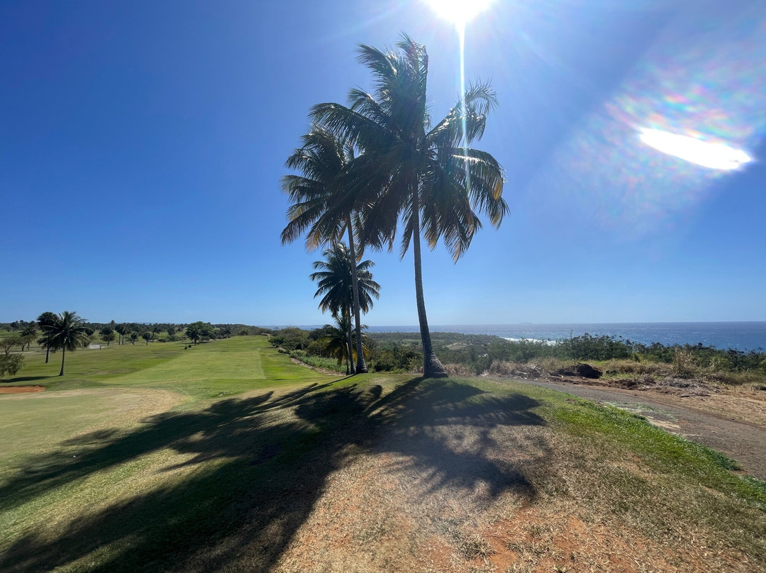 Punta Borinquen Golf Club-波多黎各必去景点