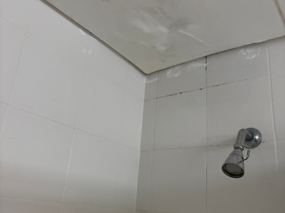 Hotel Tocarema主图