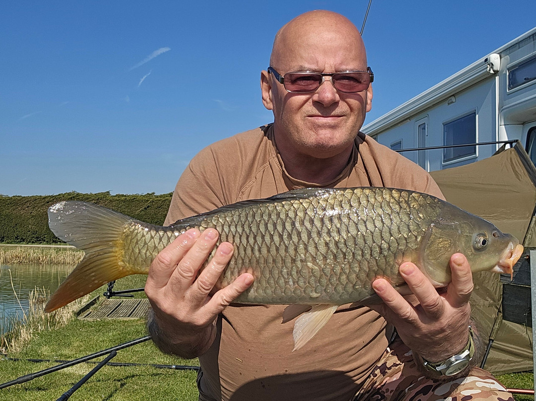 Waterloo Farm Leisure Fishery景点图片