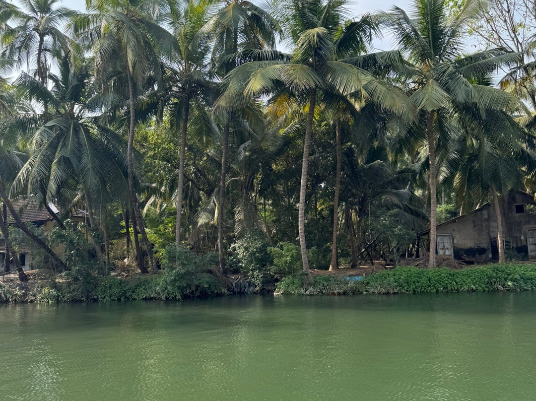 Honnavar Boating-Honnavar必去景点