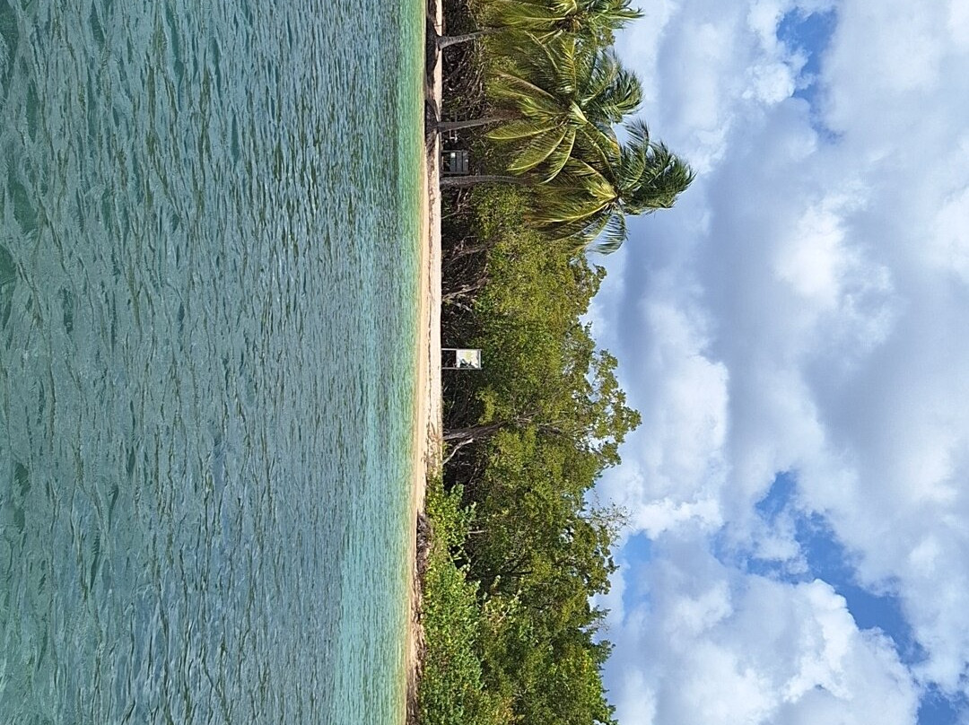 Tropical Boat Guadeloupe景点图片