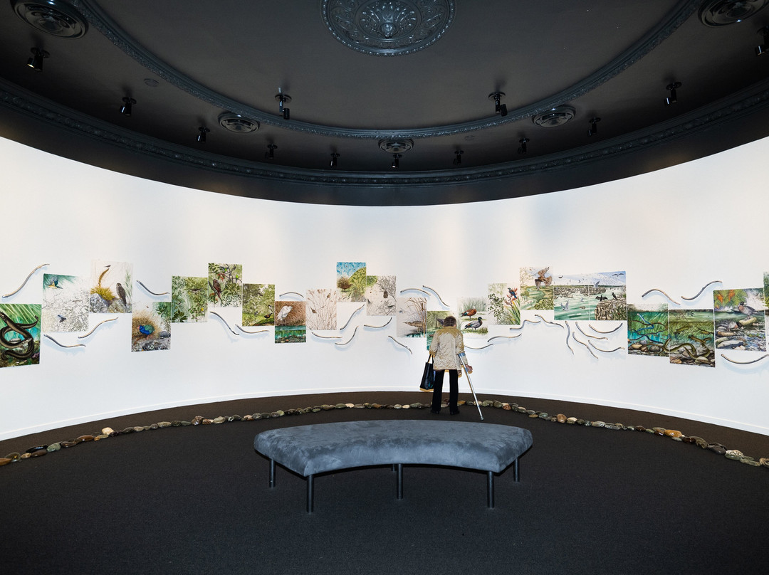 Eastern Southland Gallery景点图片