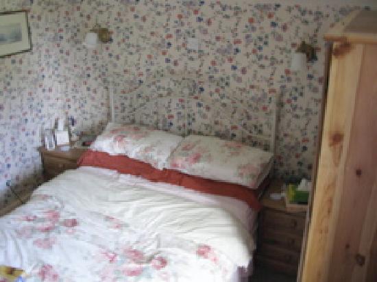 Cefn Coch Country Guest House-客卧