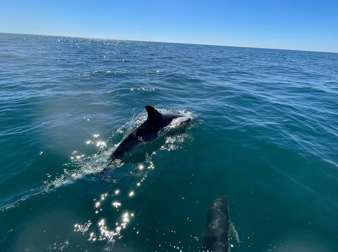 Ecomarine Algarve-法罗必去景点