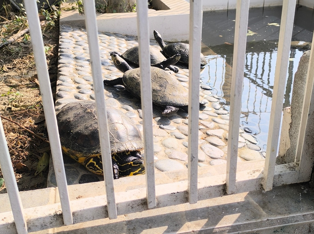 Mirador de Uchupampa主图