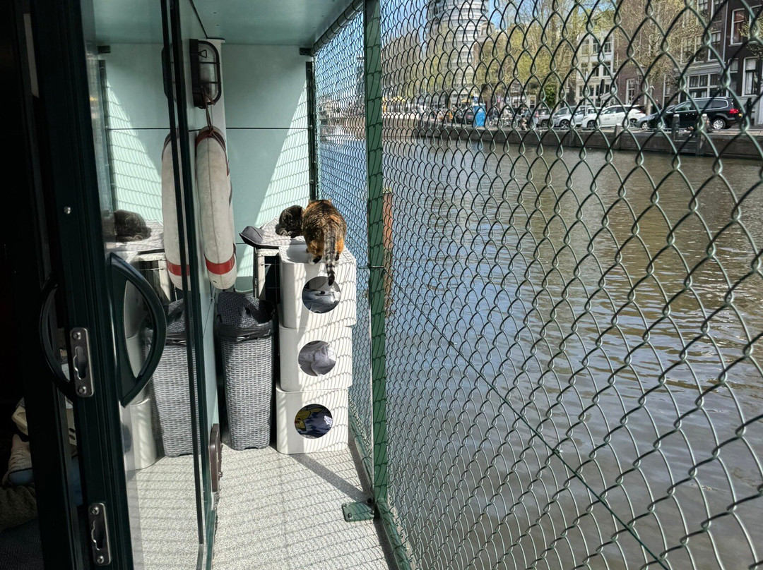 De Poezenboot景点图片