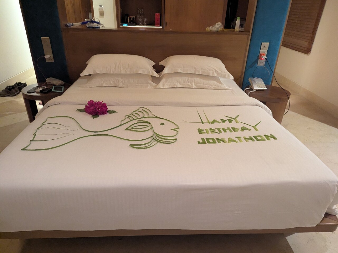 弗拉维利岛Spa及度假村主图