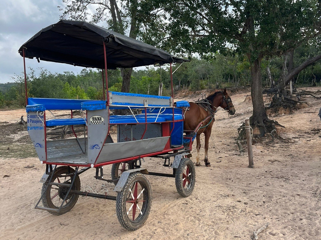 JMC Vinales Aventura-维纳勒斯必去景点