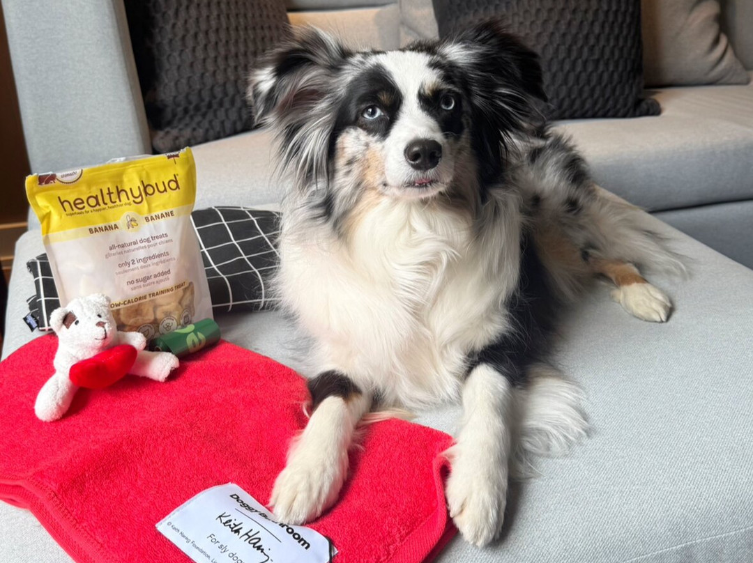 金普顿圣乔治酒店主图