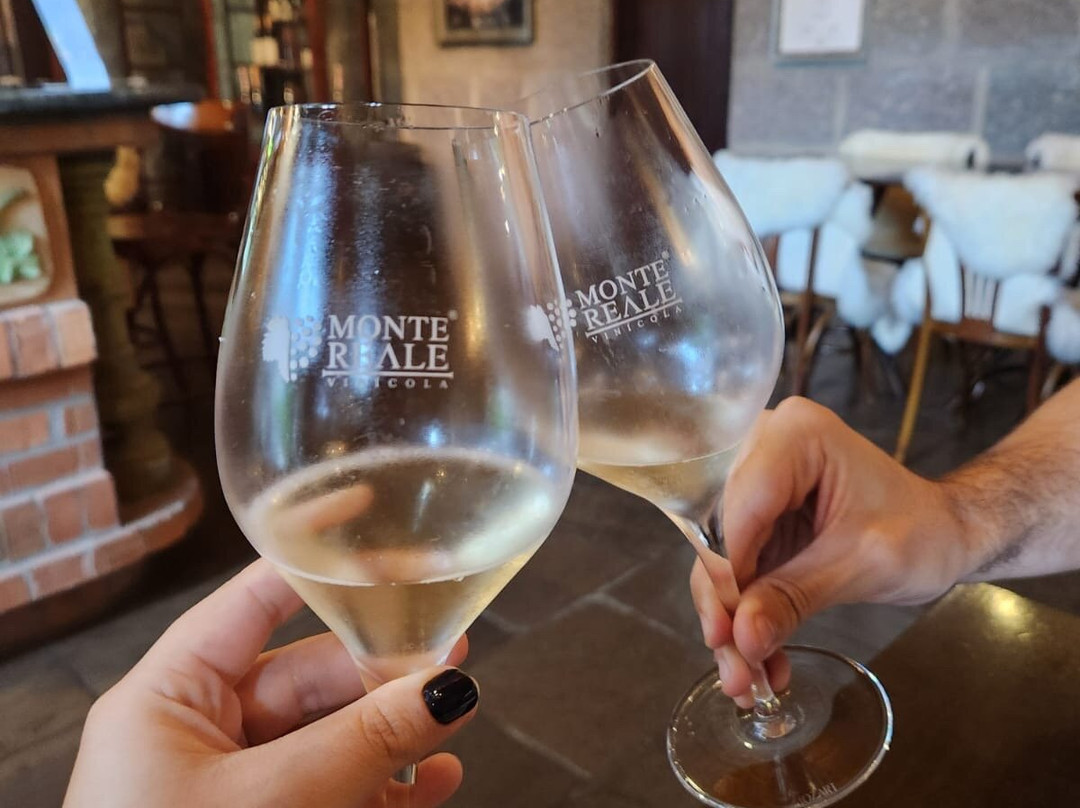 Vinicola Monte Reale景点图片