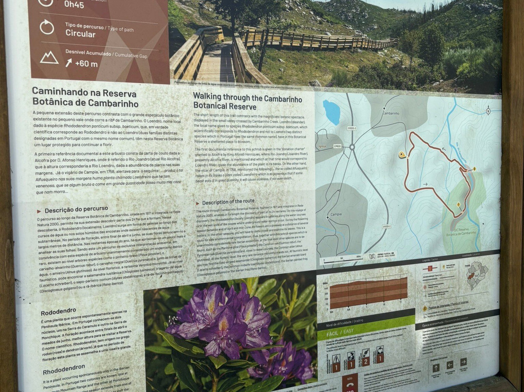 Reserva Botanica de Cambarinho景点图片