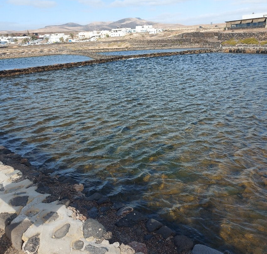 Museo de Las Salinas del Carmen景点图片