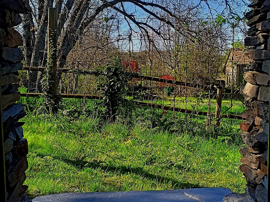 Casa Rural Los Doce Robles主图