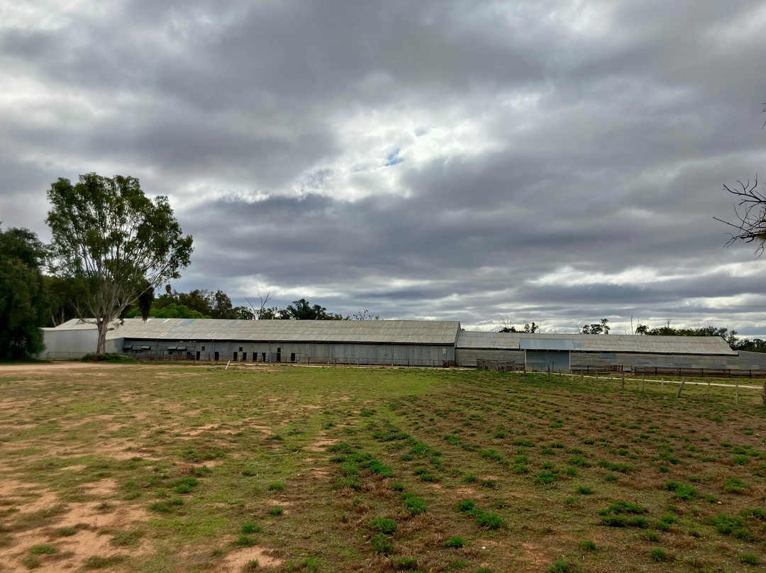 Yanga National Park-Balranald必去景点