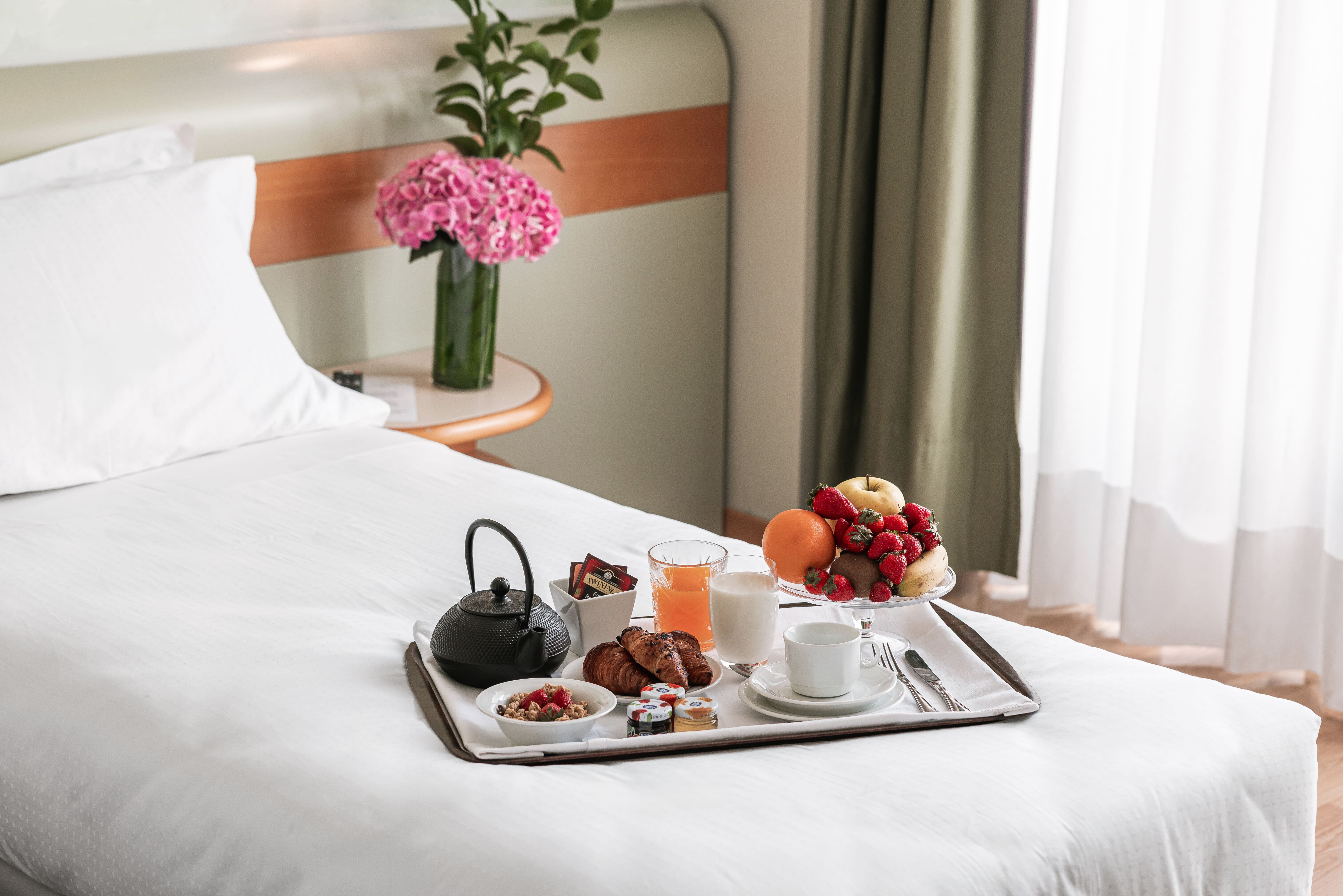 Leonardo da Vinci Hotel Erba-客卧