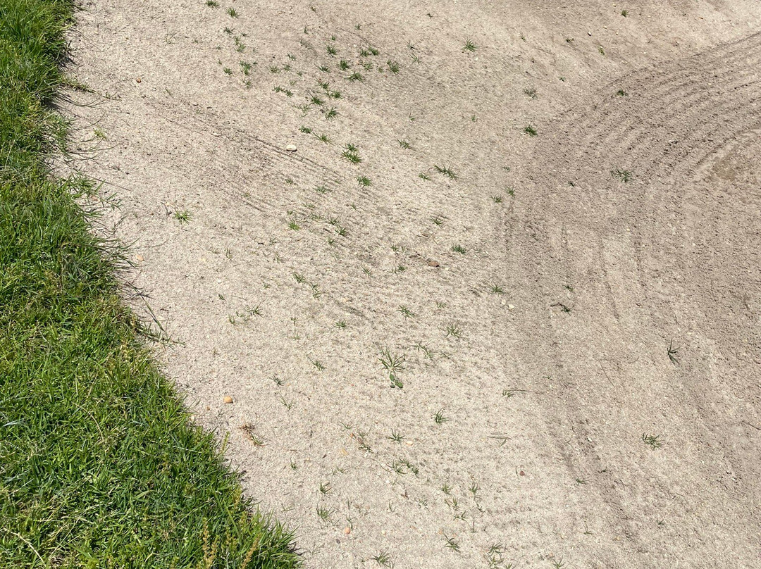 San Lorenzo Golf Course景点图片