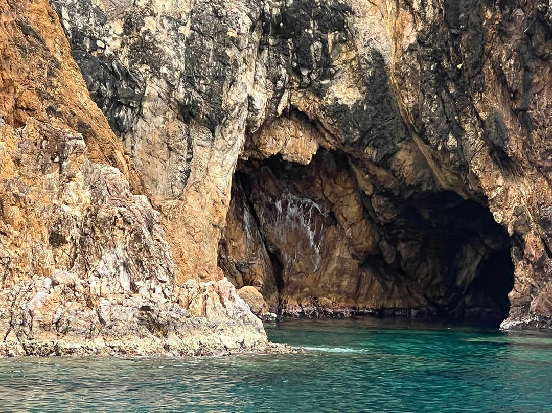 Sail A Day Excursions BVI-托土拉必去景点