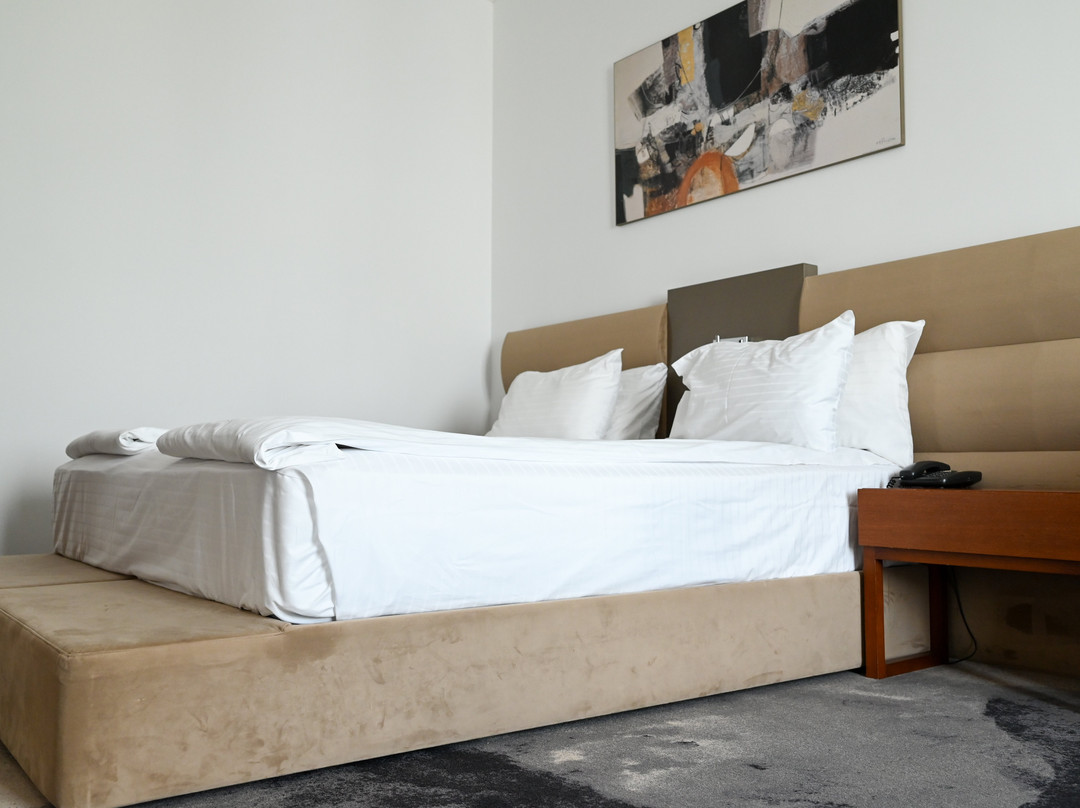 Hotel Iaki主图