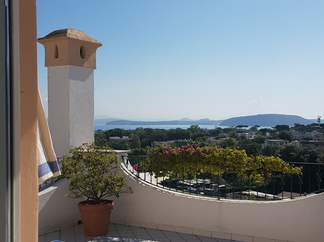 Hotel Bellevue Benessere e Relax主图