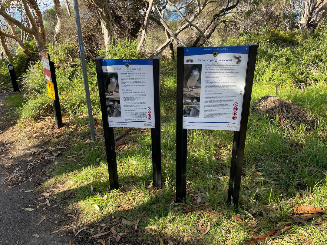 Bicheno Foreshore Footway-比奇诺必去景点