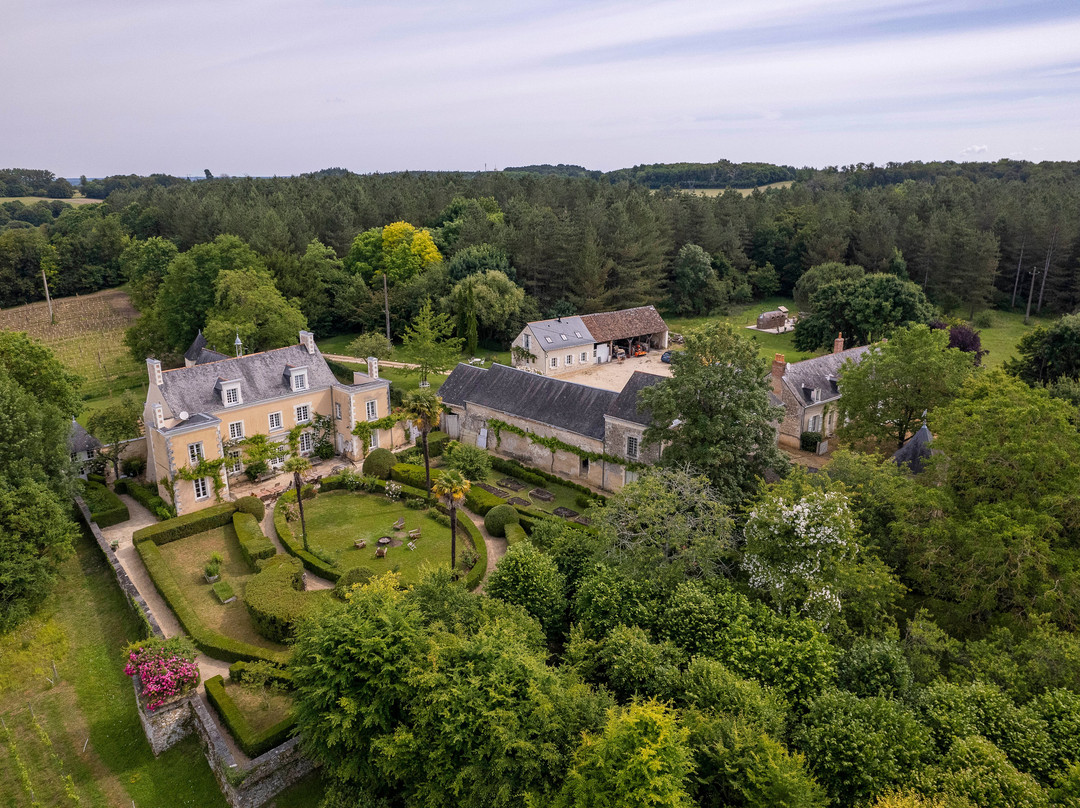 La Cour Du Liège