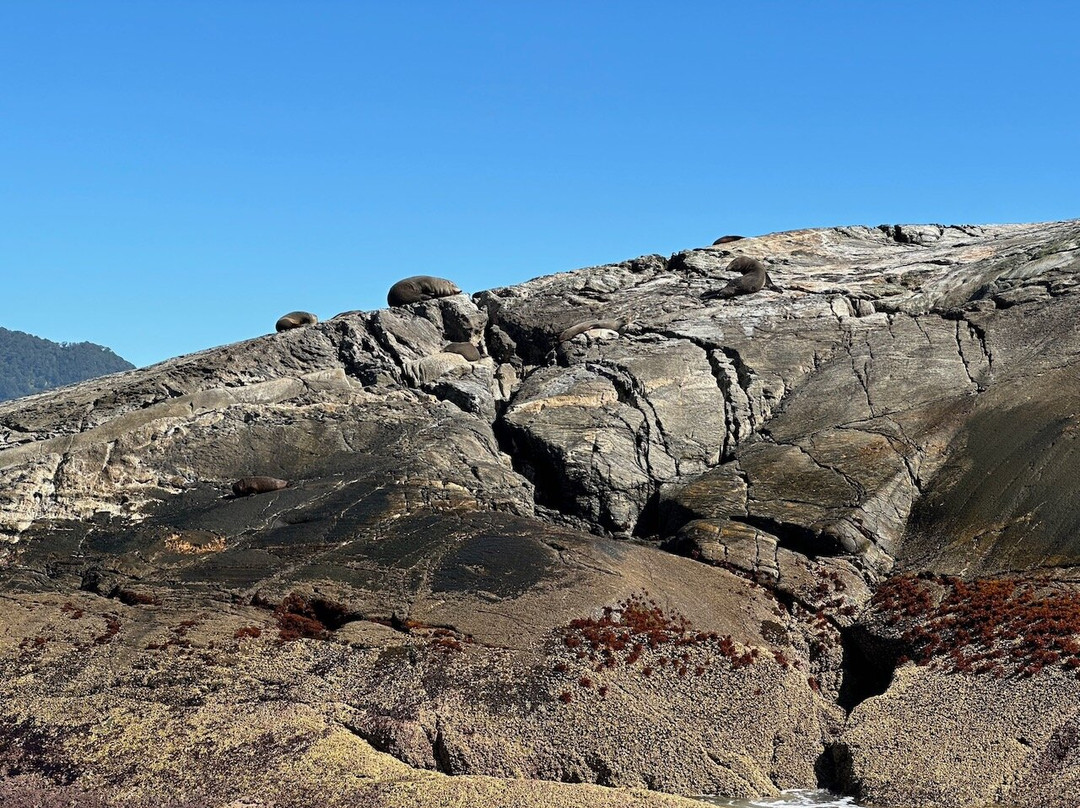 Fiordland Expeditions - Doubtful Sound Overnight Cruises & Multi Day Charters-马纳普里必去景点